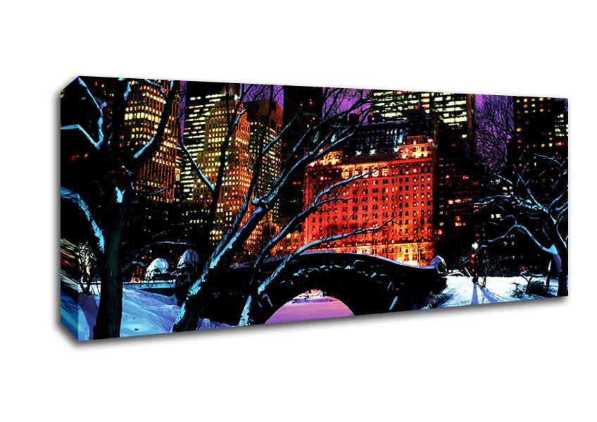 New York City Central Park Night Snow Canvas Wall Art