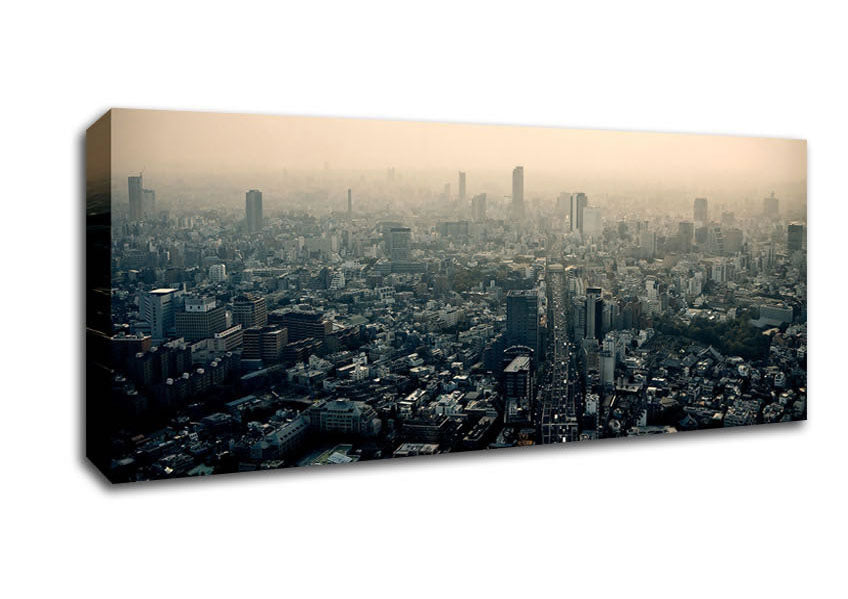 Tokyo Smog Canvas Wall Art