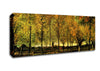Van Gogh Lane With Poplars Canvas Wall Art