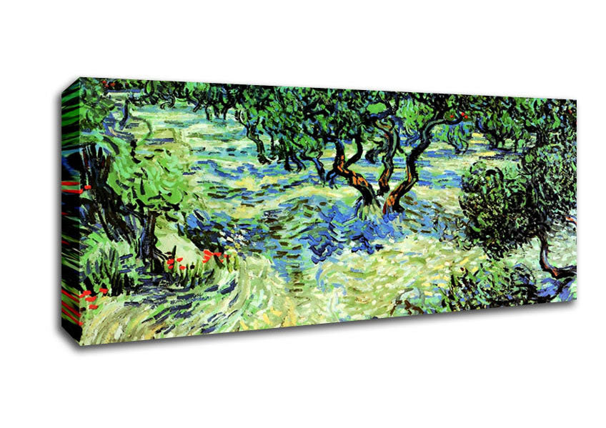 Van Gogh Olive Grove 2 Canvas Wall Art