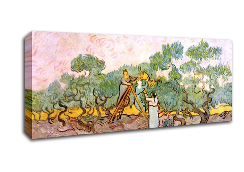 Van Gogh Olive Pickers Canvas Wall Art