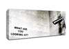 What Are You Looking At Canvas Wall Art
