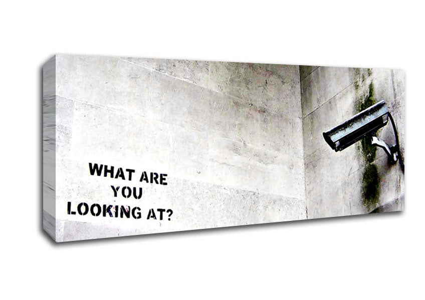 What Are You Looking At Canvas Wall Art