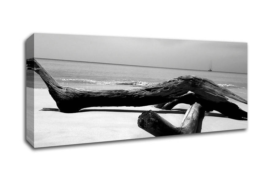 Ocean Drift Wood On The Shore B n W Canvas Wall Art