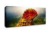 Ocean Shell Canvas Wall Art