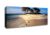 Palmtree Island Canvas Wall Art