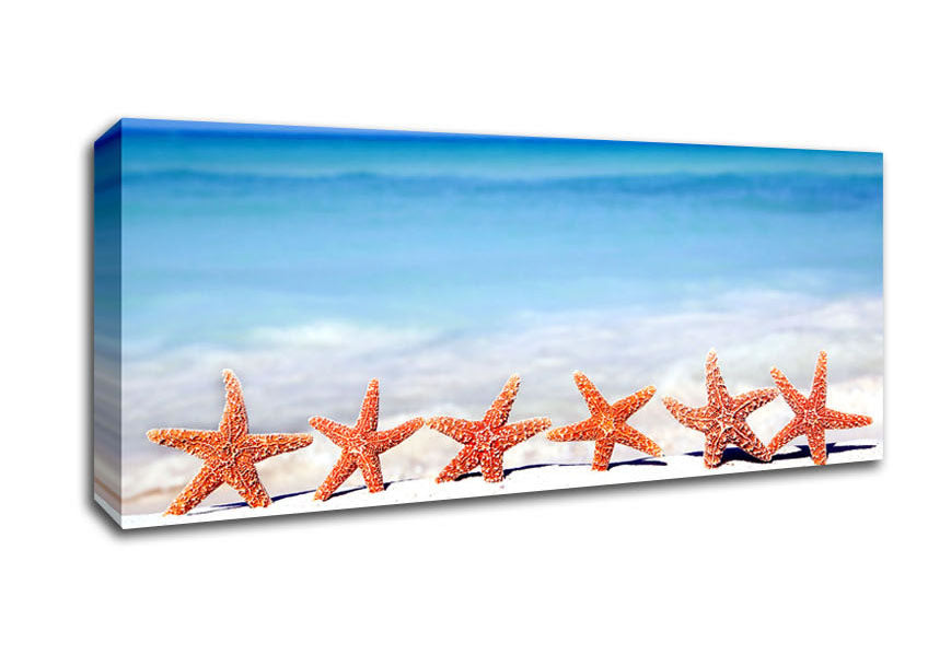 Star Fish Line-up Canvas Wall Art
