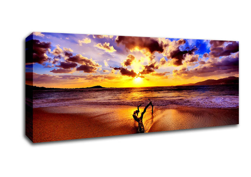 Stunning Ocean Driftwood Canvas Wall Art