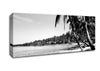 Beach Palms B n W Canvas Wall Art