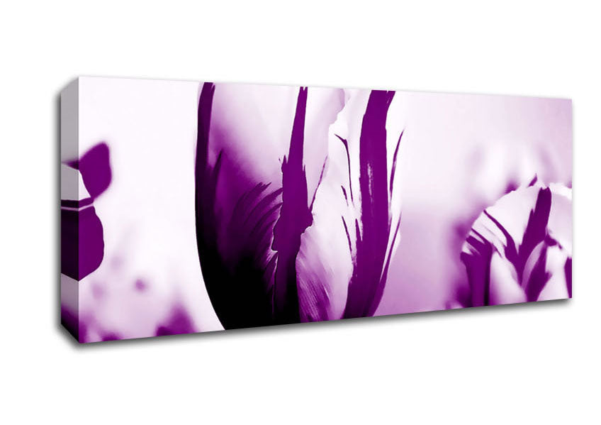 Gem Of A Tulip Purple Canvas Wall Art
