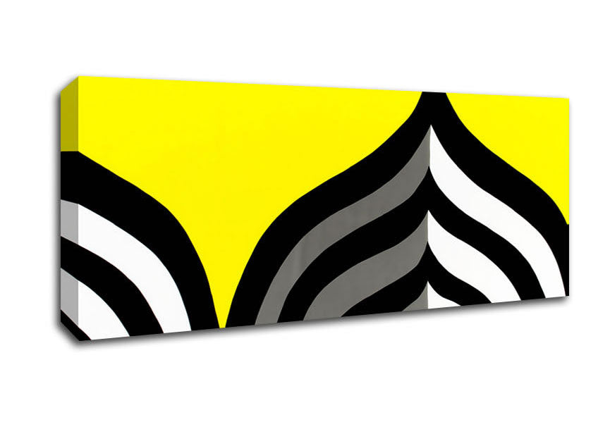Zebra Fan Canvas Wall Art
