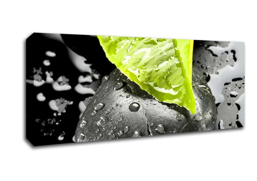 Zen Stone And Leaf Canvas Wall Art