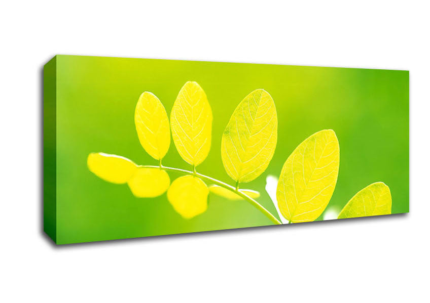 Leaves In The Golden Sun Canvas Wall Art