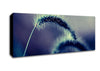 Spikelets Macro Canvas Wall Art