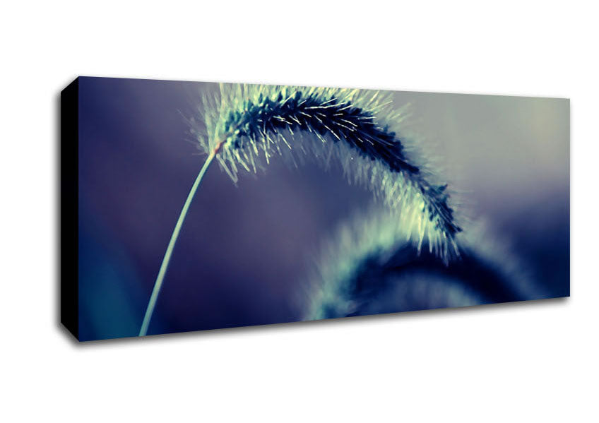 Spikelets Macro Canvas Wall Art
