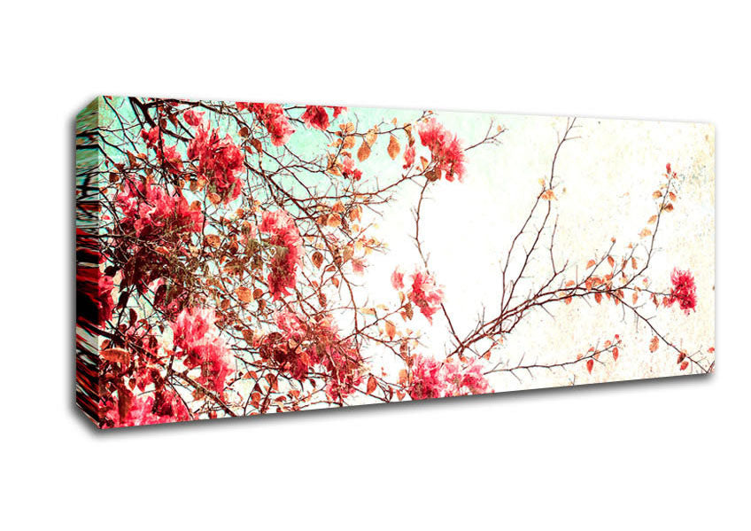 Antique Cherry Blossom Canvas Wall Art