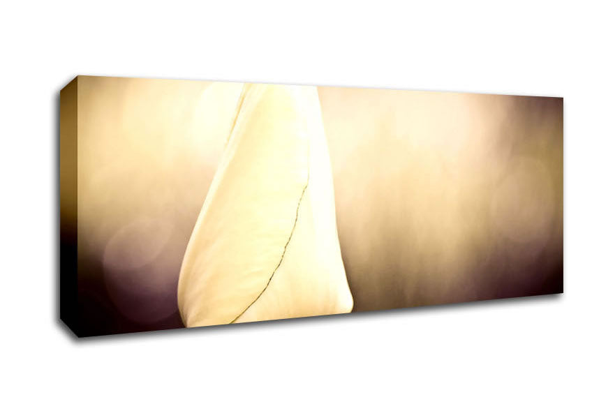Tulip Vintage Canvas Wall Art