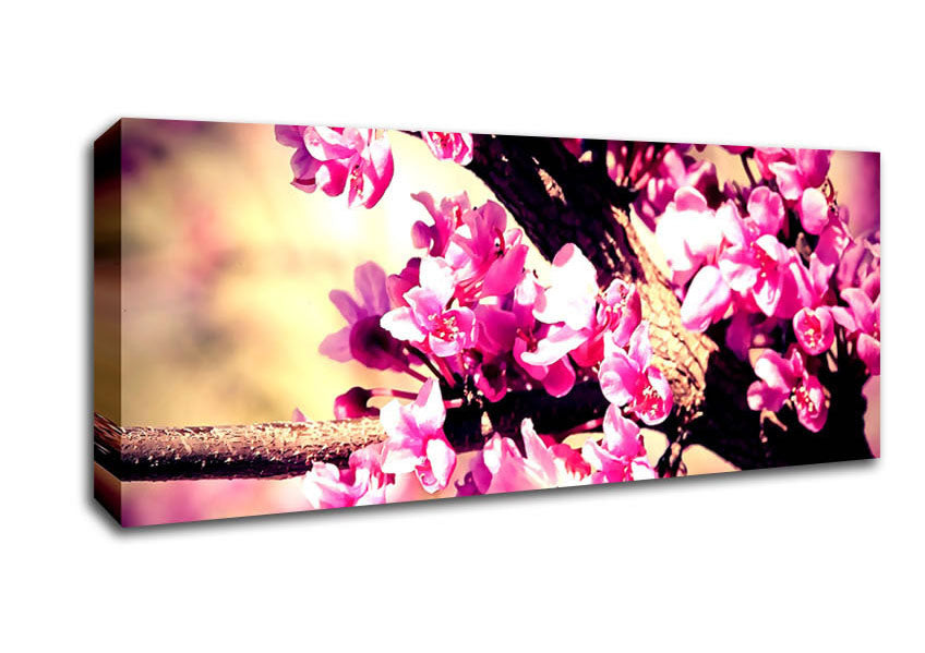 Pink Blossom Canvas Wall Art