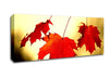 Red Oak Leaves Close Up Canvas Wall Art