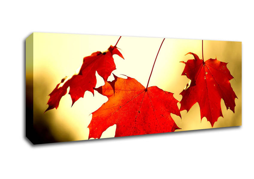 Red Oak Leaves Close Up Canvas Wall Art