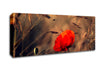 Red Poppy Field In Golden Light Canvas Wall Art