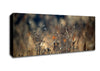 Autumn Just Before Winter Canvas Wall Art
