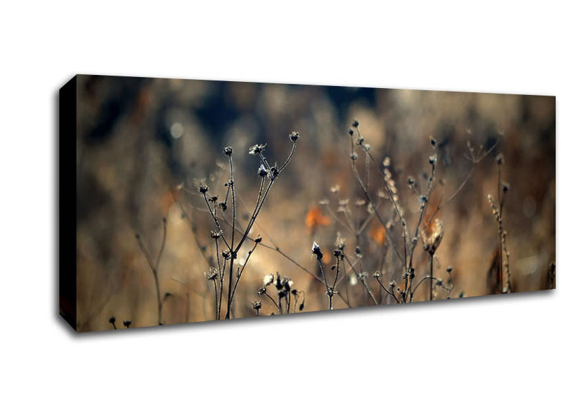 Autumn Just Before Winter Canvas Wall Art