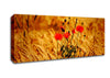 Poppies 3 Canvas Wall Art