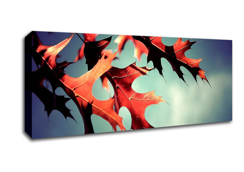 Fall Oak Leaves 2 Canvas Wall Art