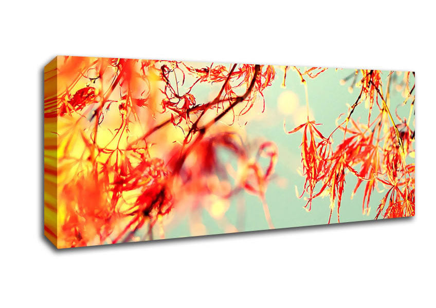 A Broader View Canvas Wall Art