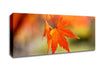 Orange Leaves Sparkle Canvas Wall Art