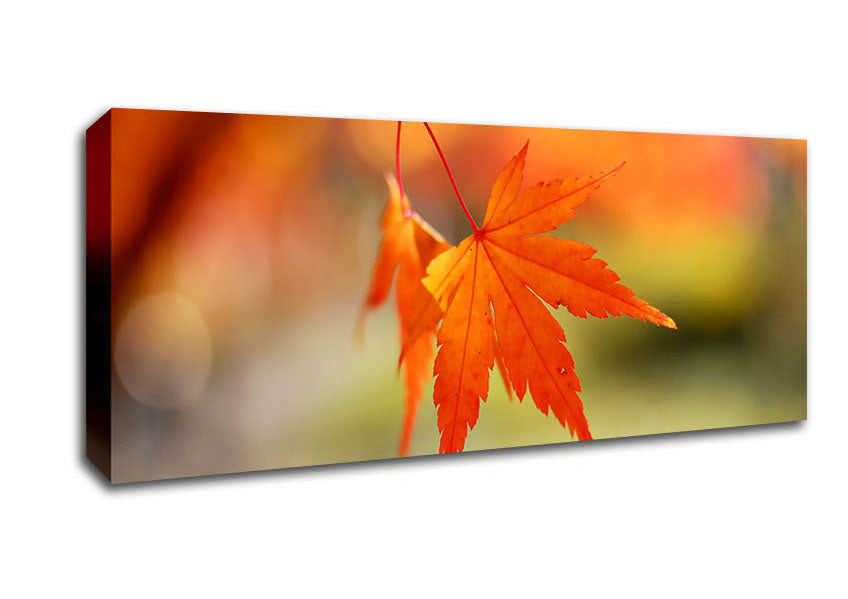 Orange Leaves Sparkle Canvas Wall Art