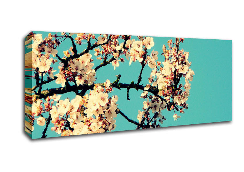 Blossom Tree Against A Blue Sky Canvas Wall Art