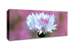 Tiny Flower Canvas Wall Art