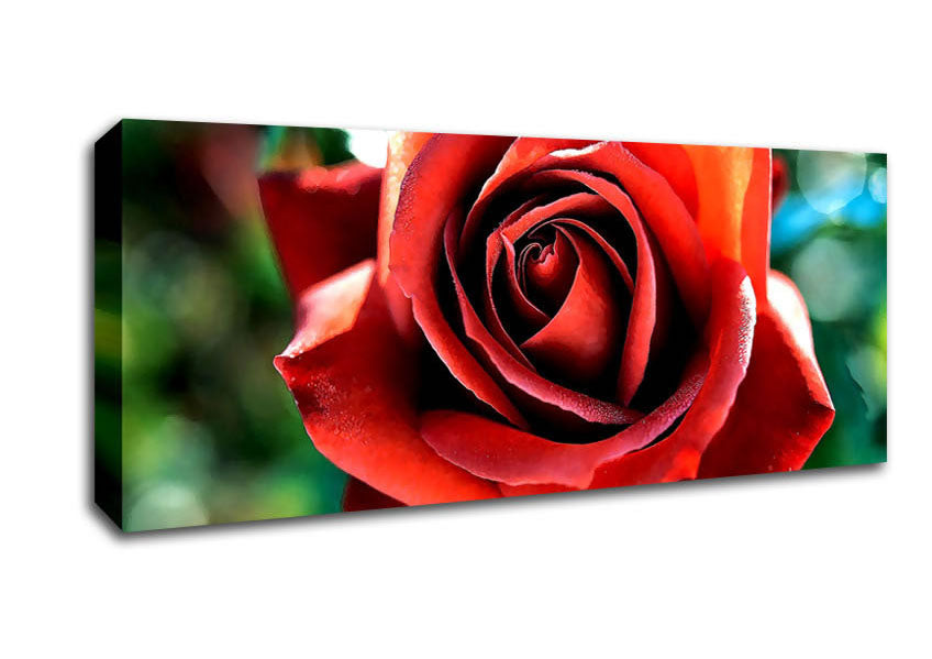Beautiful Rose In The Garden Canvas Wall Art