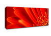 Red Orange Gerbera Petals Canvas Wall Art