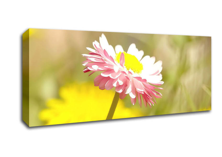 Beautiful Summer Pink Flower Canvas Wall Art