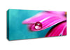 Water Drop On A Pink Petal Canvas Wall Art