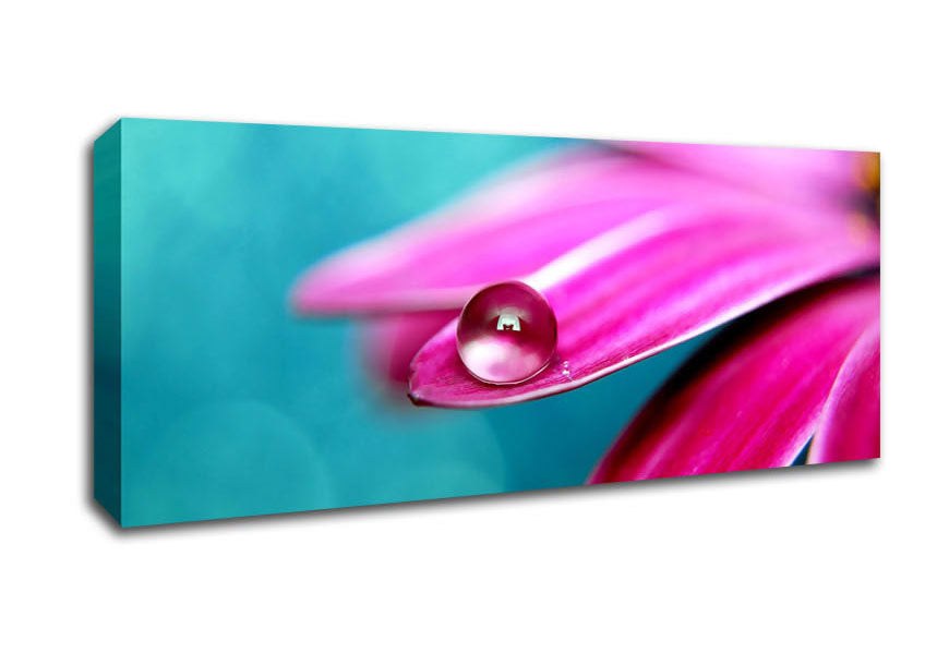 Water Drop On A Pink Petal Canvas Wall Art