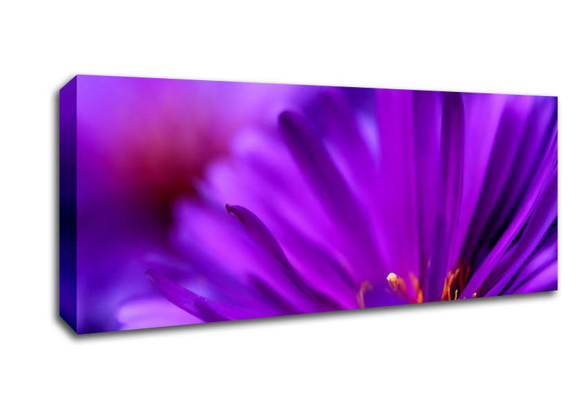 Purple Flower Petals Canvas Wall Art