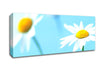 White Daisies On Blue Canvas Wall Art