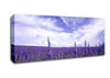 Lavender Field In The Sky Canvas Wall Art