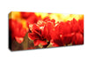 Memory Canvas Wall Art