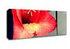 Three Petal red Canvas Wall Art