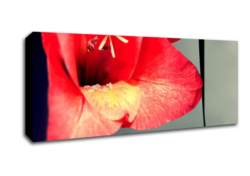 Three Petal red Canvas Wall Art