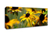 Yellow Flowers In The Garden Canvas Wall Art