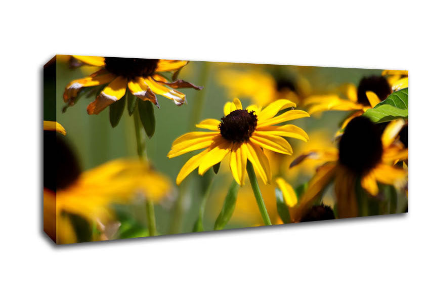 Yellow Flowers In The Garden Canvas Wall Art