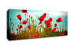 Beautiful Poppy Field Skies Canvas Wall Art