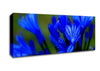 Blue Soft Look Canvas Wall Art