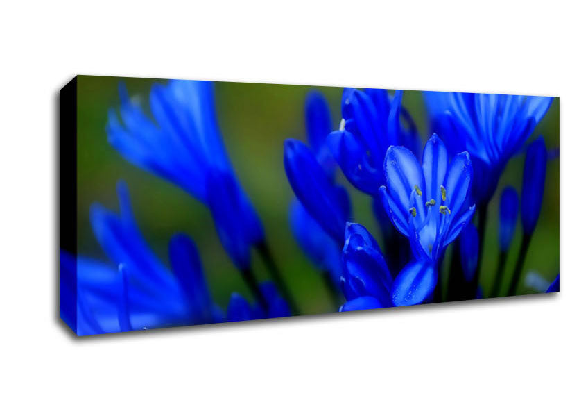 Blue Soft Look Canvas Wall Art